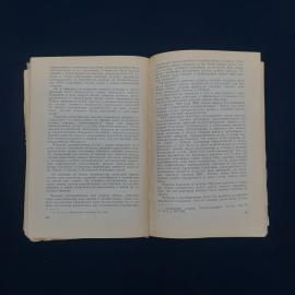 Картинка 5