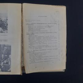 Картинка 6