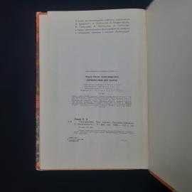 Картинка 6