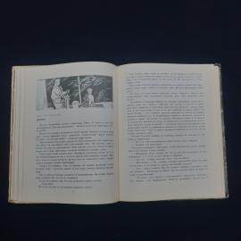 Картинка 4
