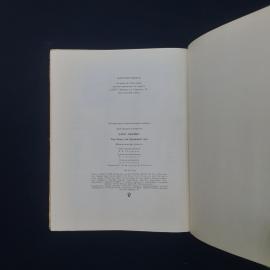 Картинка 6