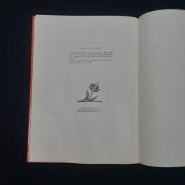 Картинка 5