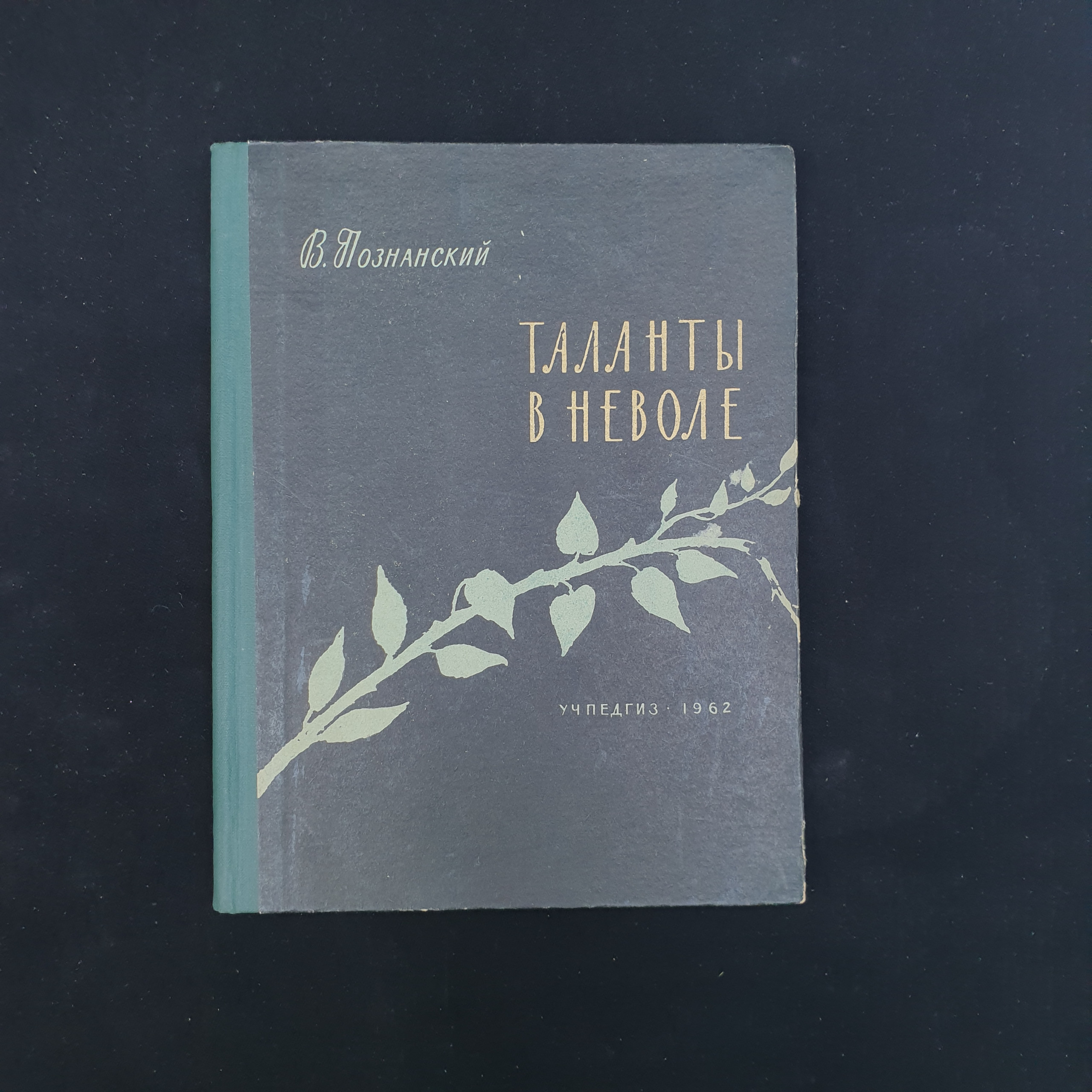 Картинка 1