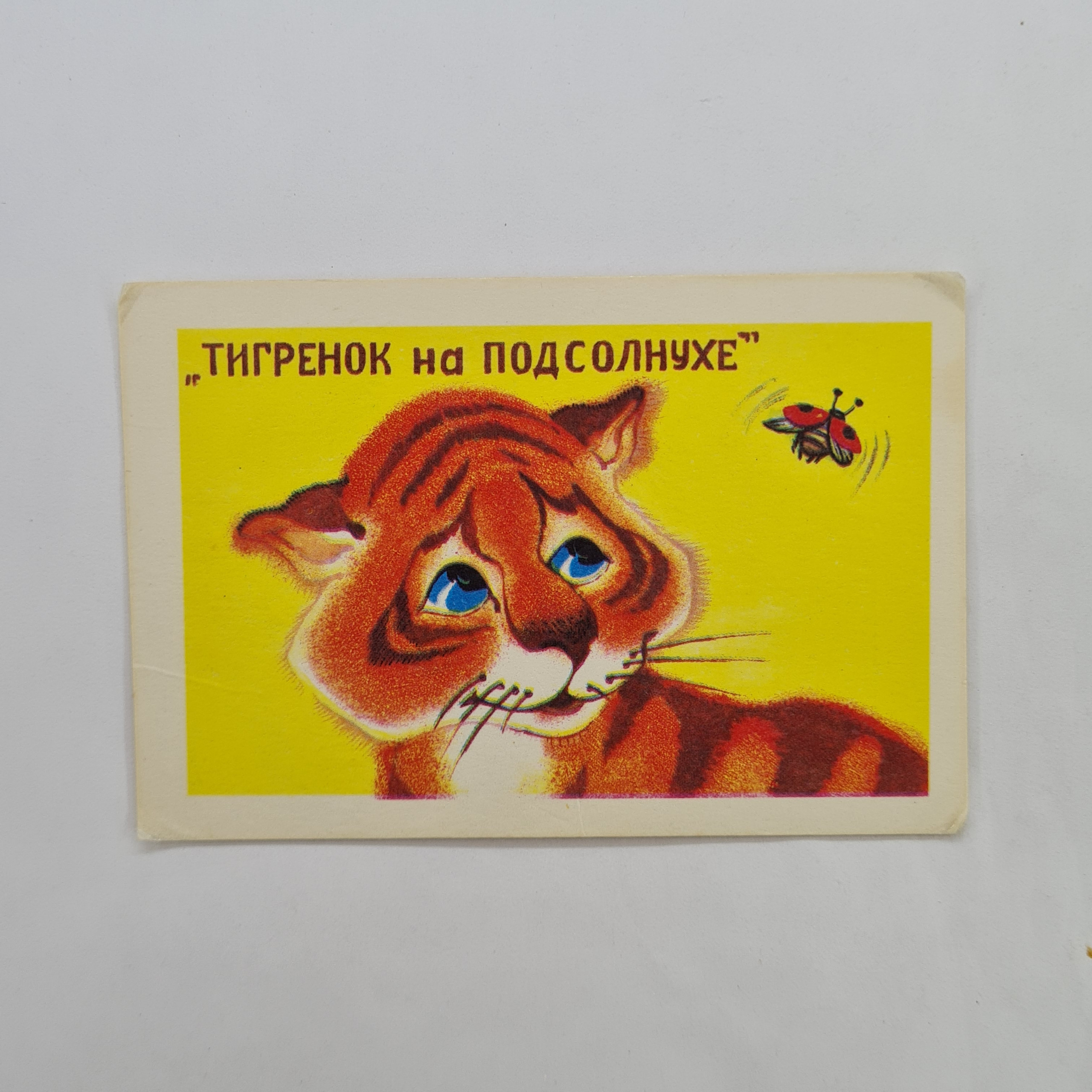Картинка 1