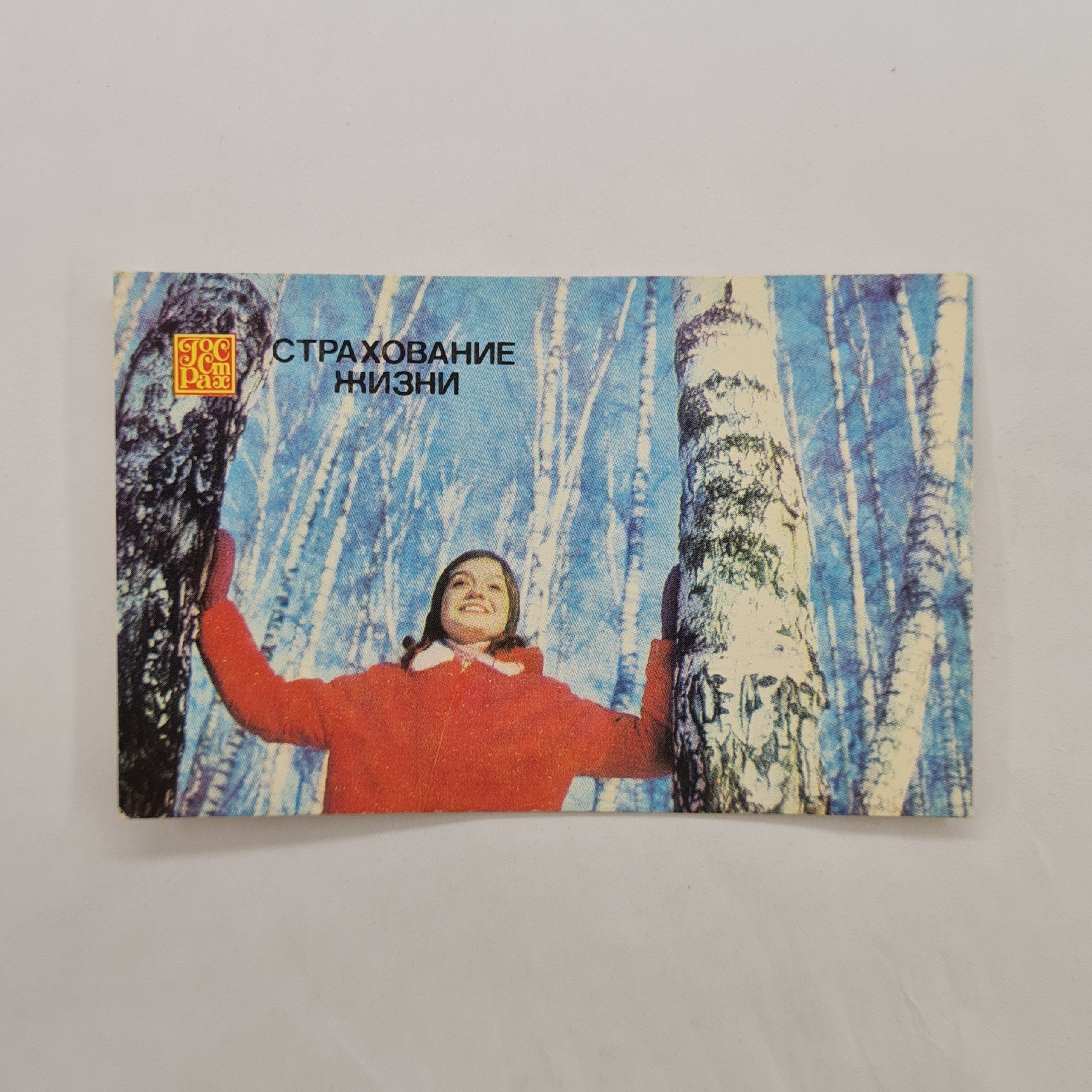 Картинка 1