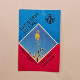 Карманный календарик 1988. Охраняемые растения Узбекистана, красная книга. Календарь винтажный