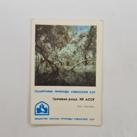 Карманный календарик 1982. Грачеева роща, памятники природы Узбекской ССР. Календарь винтажный