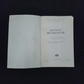 Картинка 3