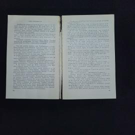 Картинка 4