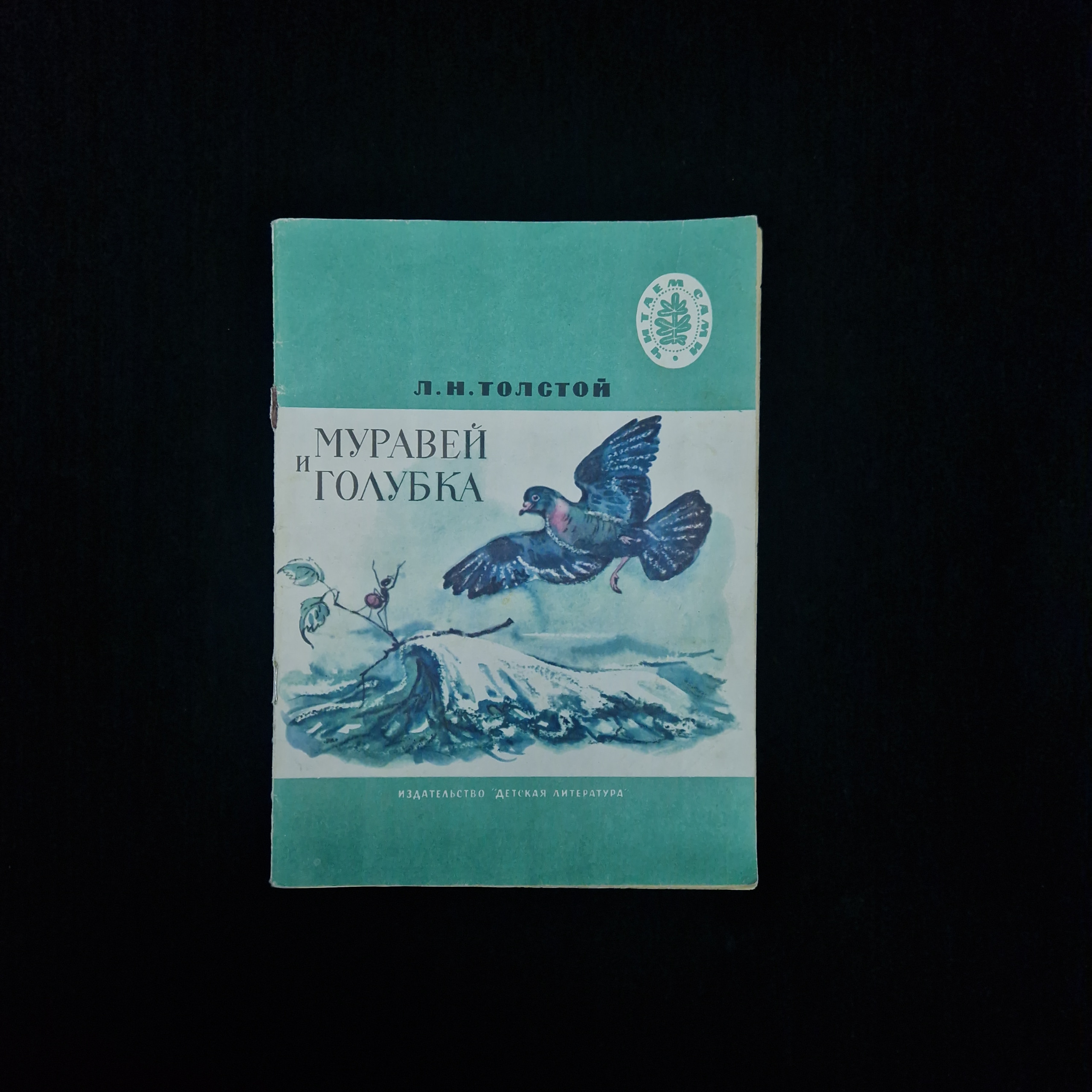 Картинка 1