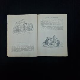 Картинка 4