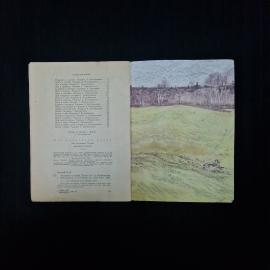 Картинка 5
