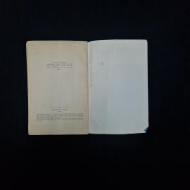 Картинка 5