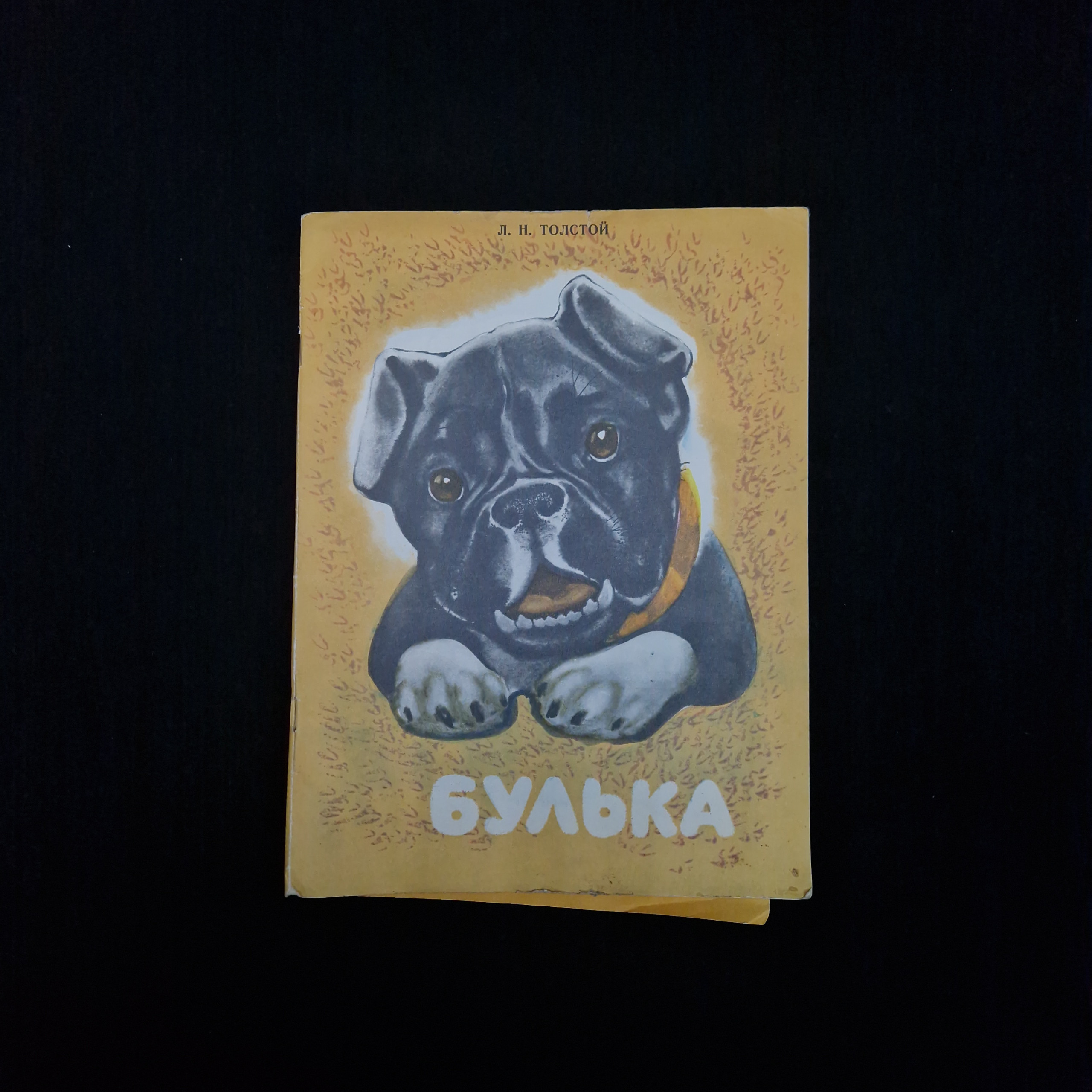 Картинка 1
