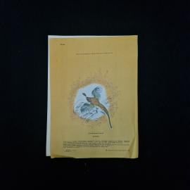 Картинка 2