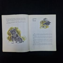 Картинка 4