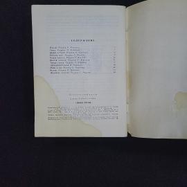 Картинка 5
