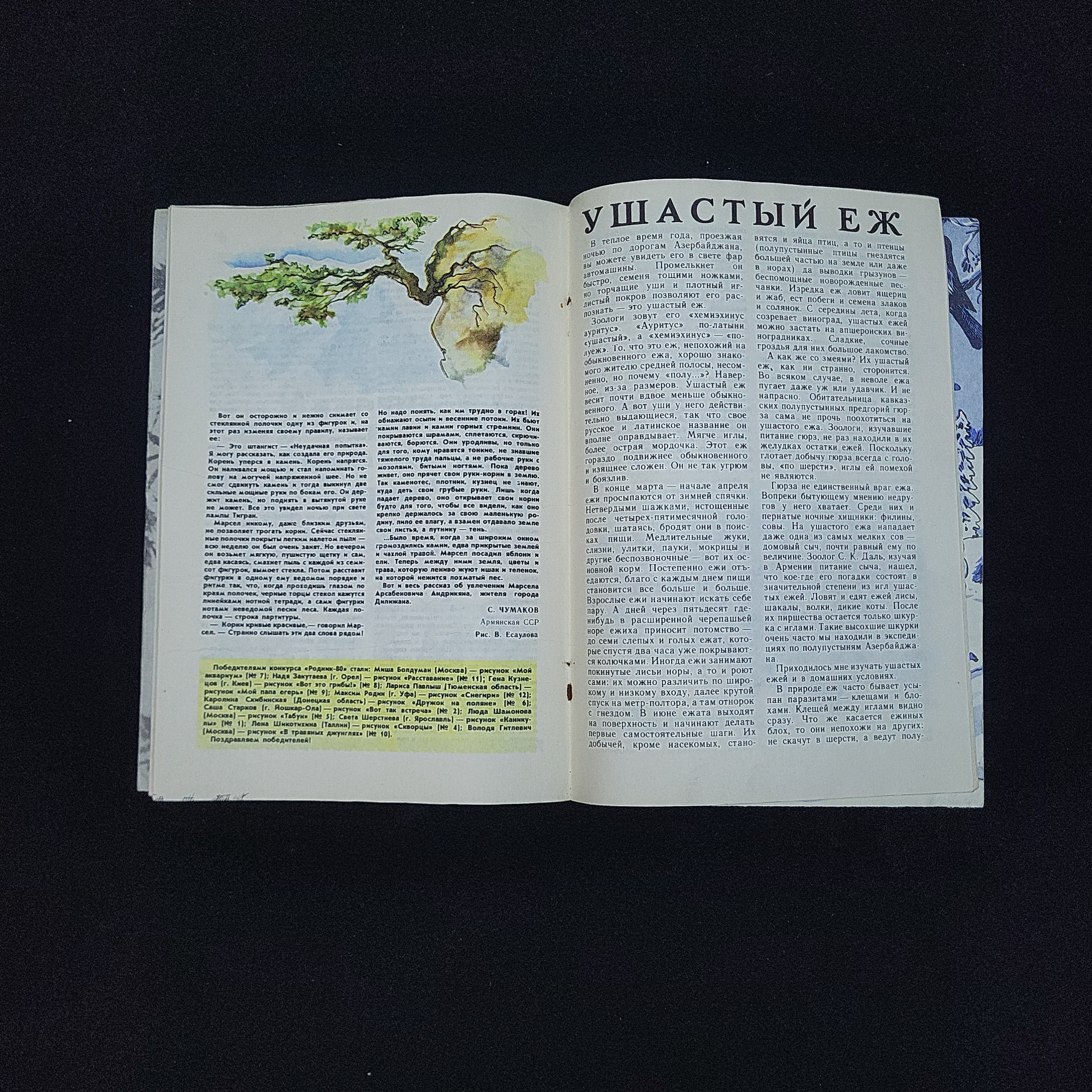 Картинка 4