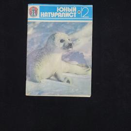 Картинка 1