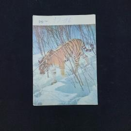 Картинка 2