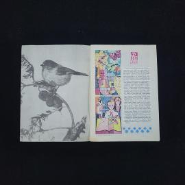 Картинка 3