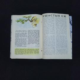 Картинка 4