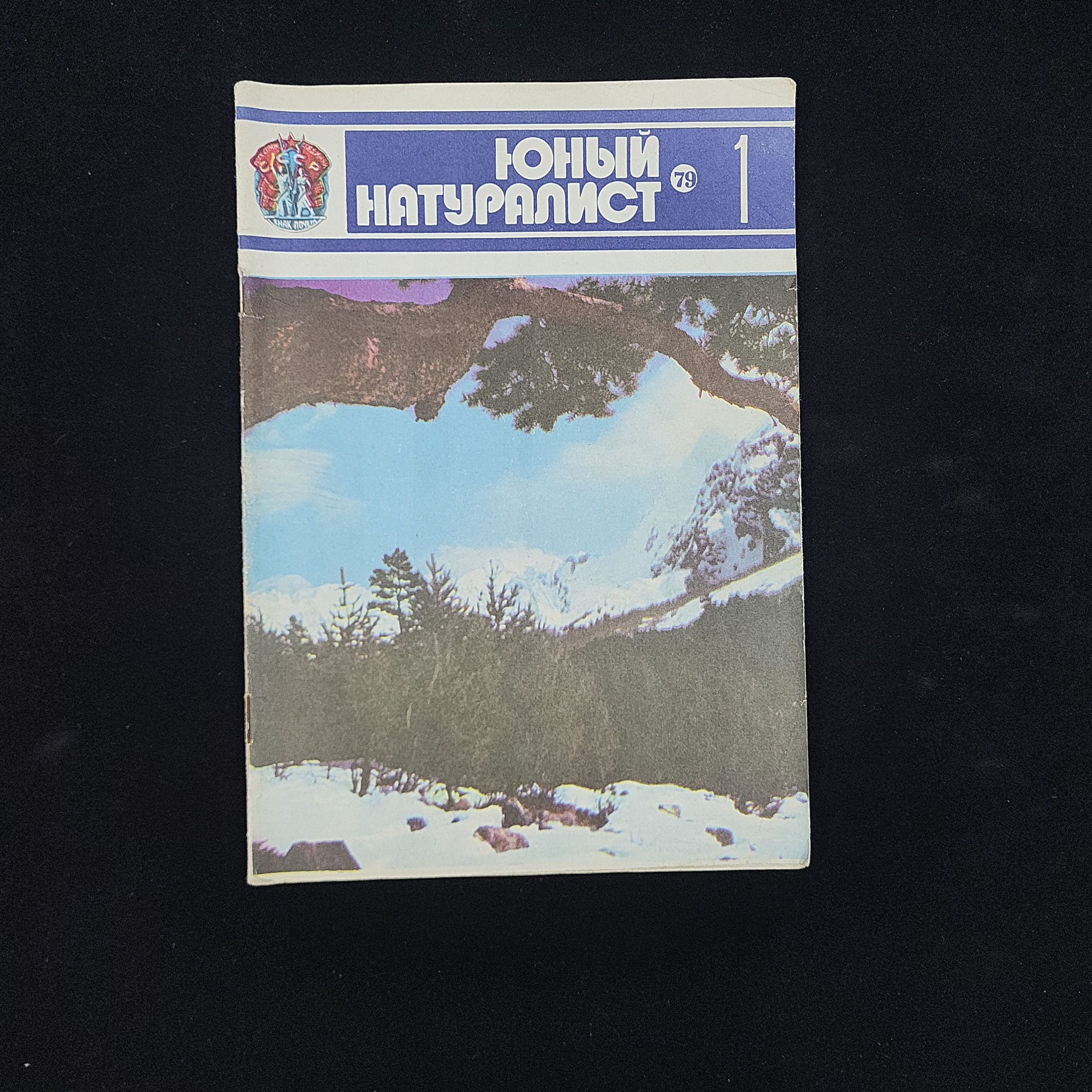 Картинка 1