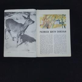 Картинка 3