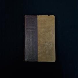 Федор Гладков. Цемент. Книга СССР, роман