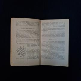 Картинка 5