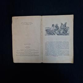 Картинка 4