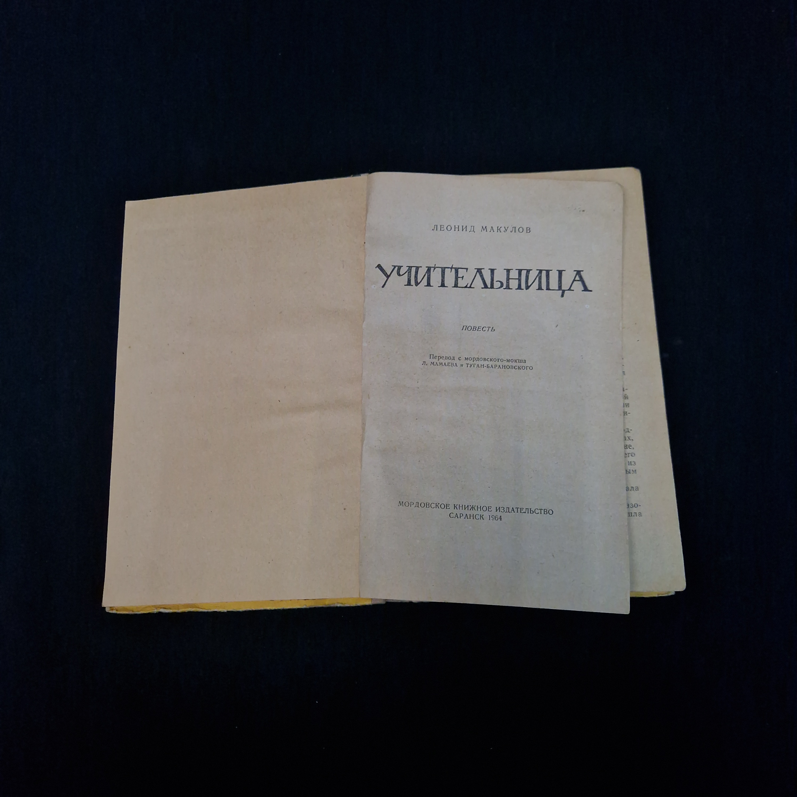 Картинка 4