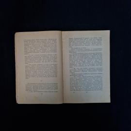 Картинка 5