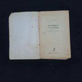 Картинка 3