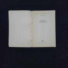 Картинка 3