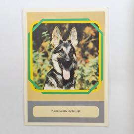 Карманный календарик 1991. Собака на фоне природы, календарь с советскими праздниками. Календарь вин