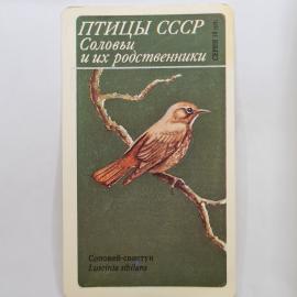 Карманный календарик 1991. Соловьи и их родственники, птицы СССР. Календарь винтажный