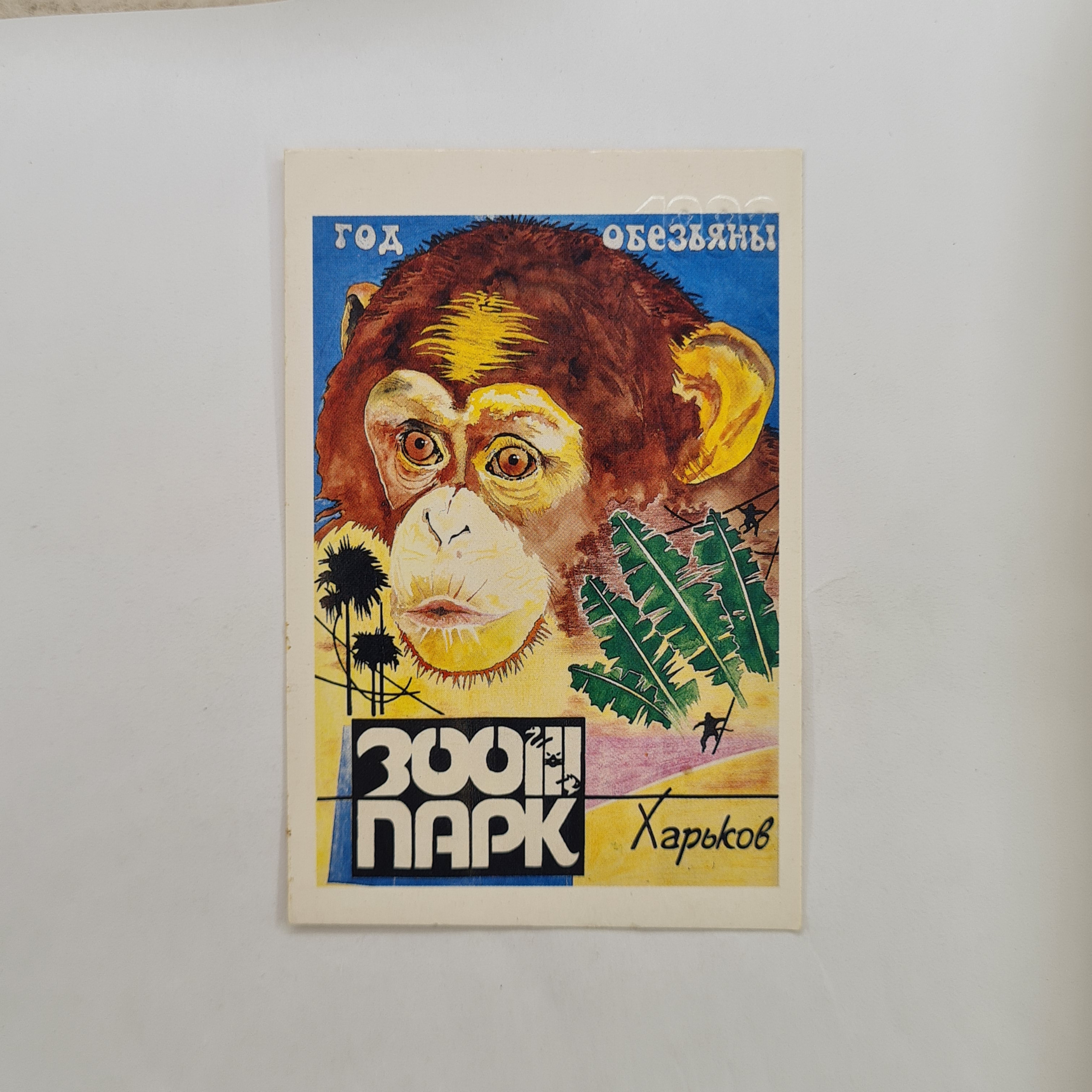 Картинка 1