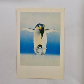 Карманный календарик 1992. Пингвины и их детеныши. Календарь винтажный