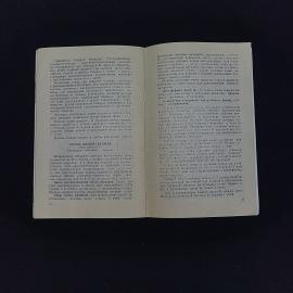 Картинка 5