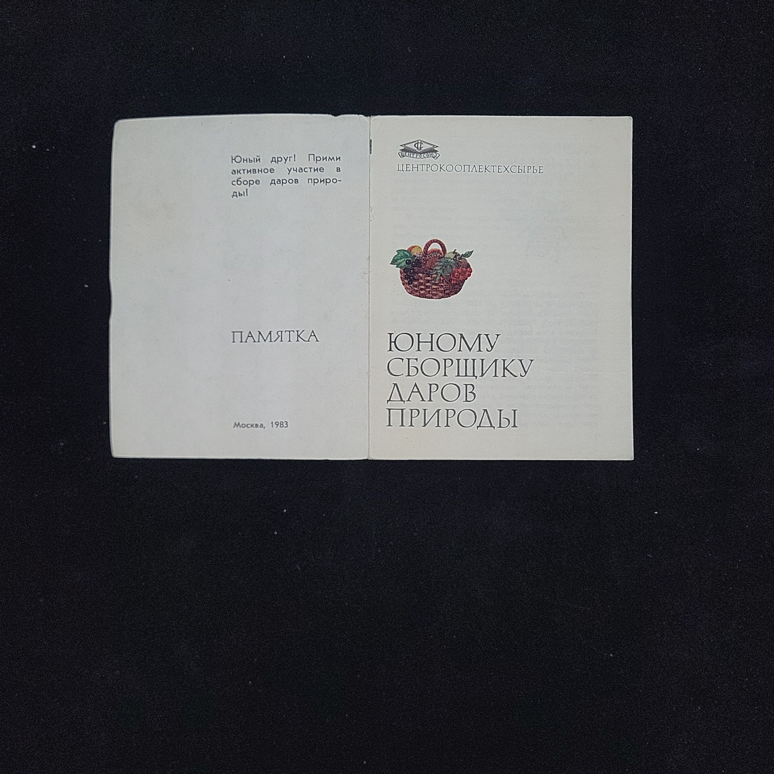 Картинка 3