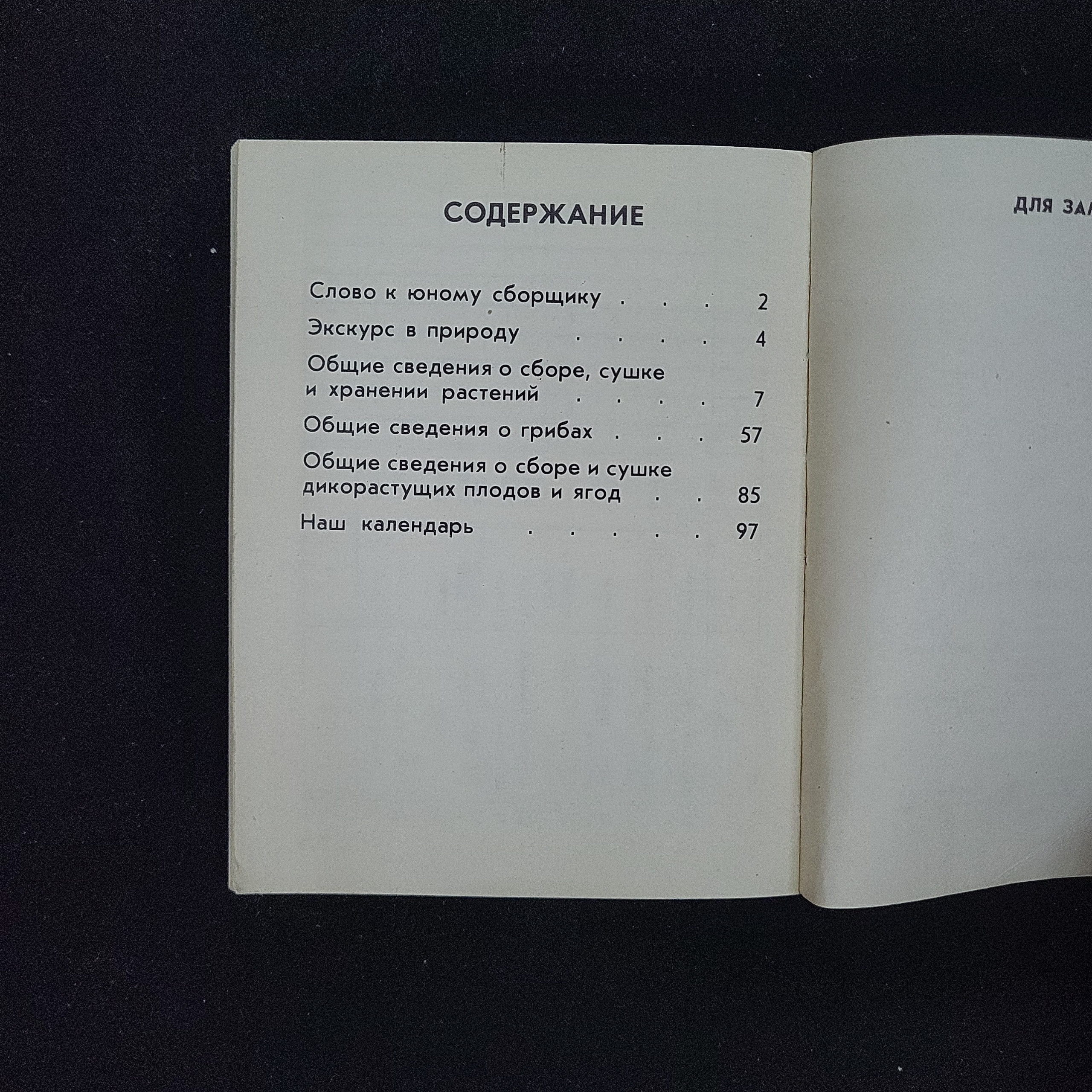 Картинка 5