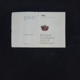 Картинка 3