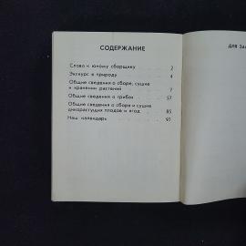 Картинка 5