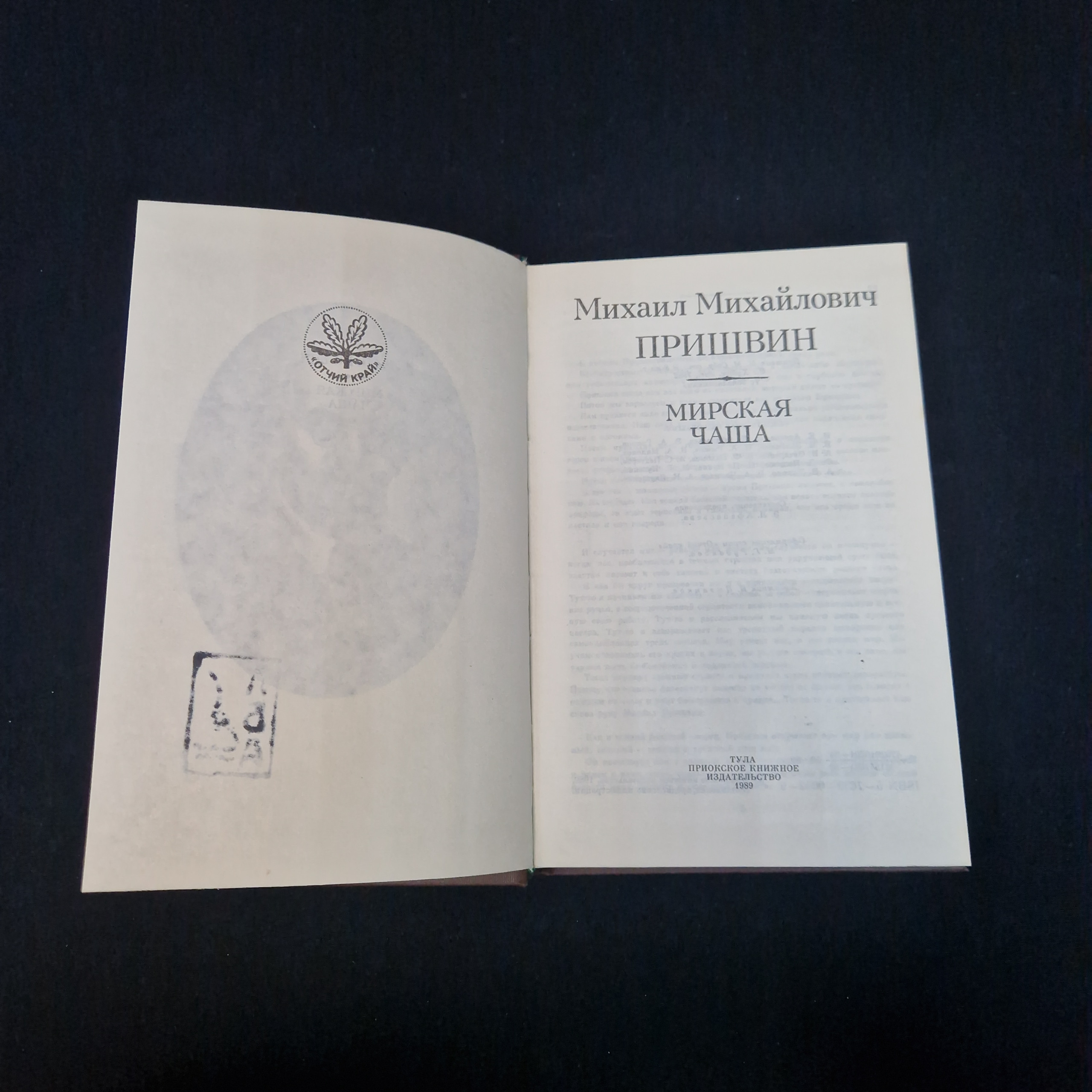 Картинка 4