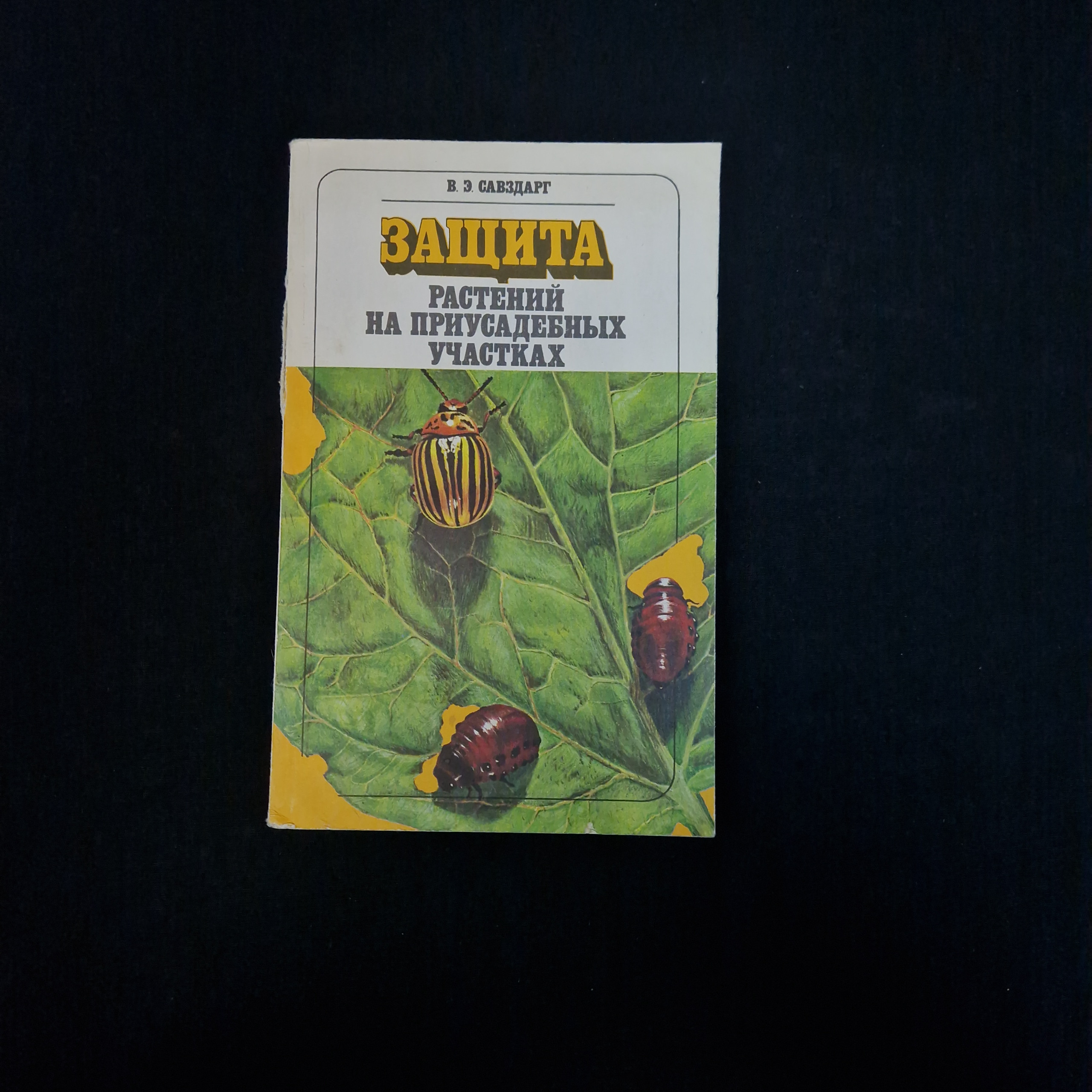 Картинка 1