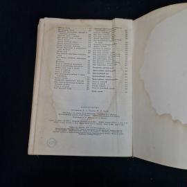 Картинка 8