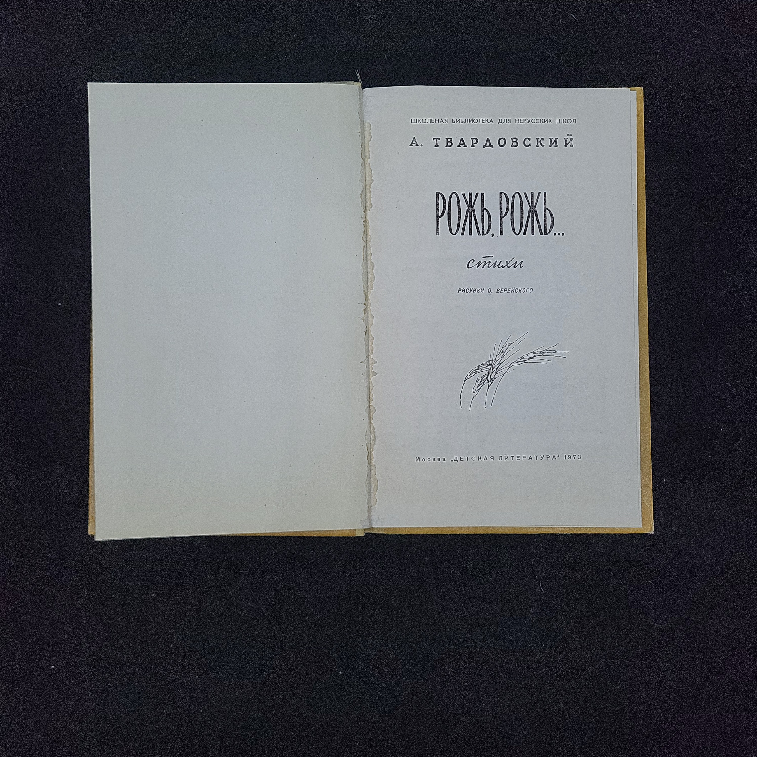 Картинка 3