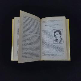 Картинка 4