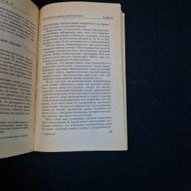 Картинка 5